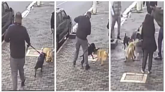 Reprodução | Redes Sociais