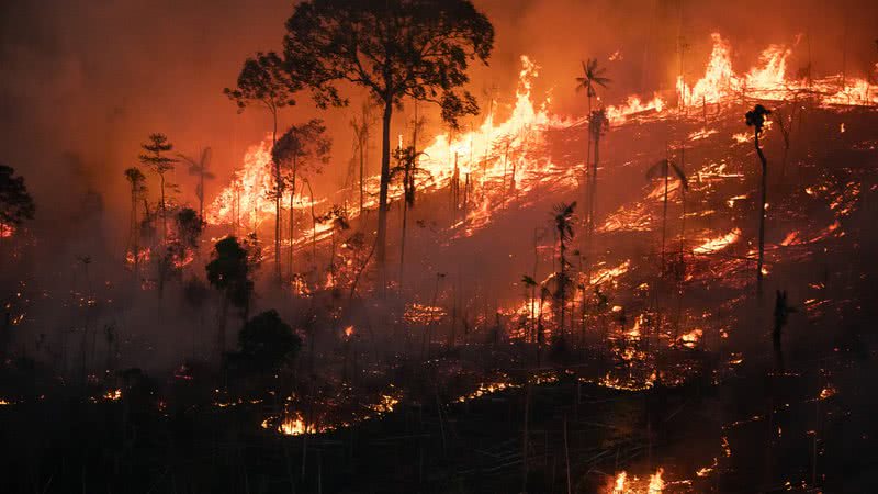 Foto: Ilustração | Nilmar Lage/Greenpeace