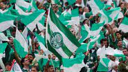 Cesar Greco | SE Palmeiras