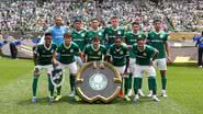 Cesar Greco/Palmeiras