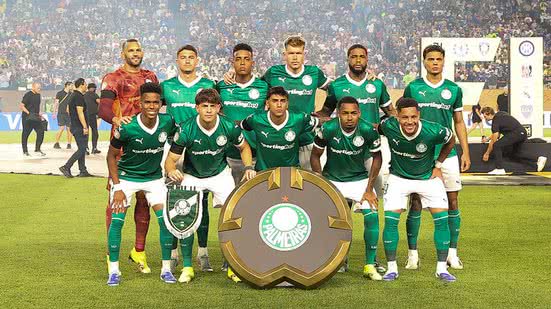 Cesar Greco/Palmeiras