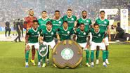 Cesar Greco/Palmeiras