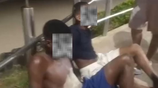 Reprodução / Leitor Bnews