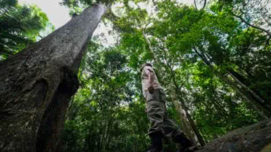 Divulgação / Fernando Frazão/Agência Brasil