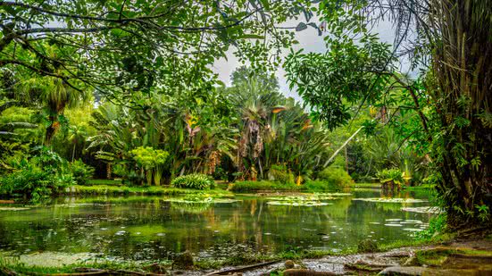 Reprodução/Freepik