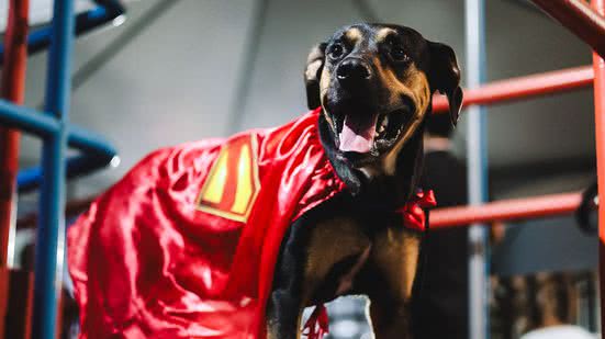 Letícia Martins/EC Bahia