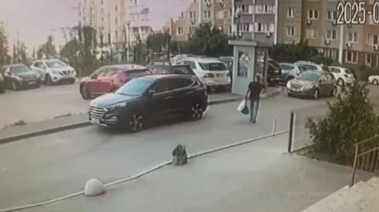 Reprodução