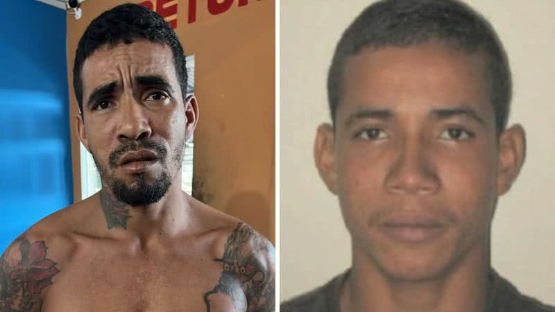 Reprodução