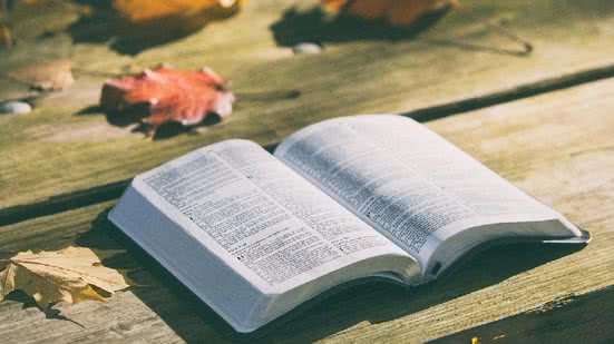 Reprodução/Pixabay