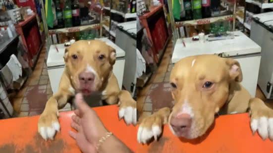 Reprodução/eRedes Sociais