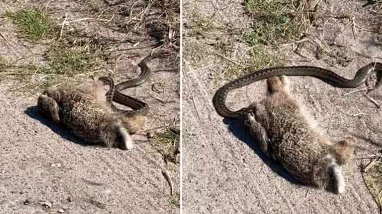 Reprodução Redes Sociais