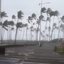 Paulo M. Azevedo/BNews