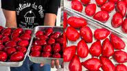 Reprodução / Instagram