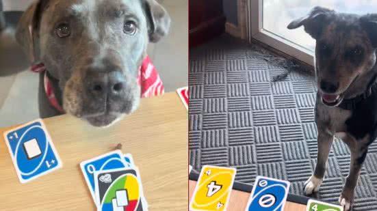 Reprodução / Tiktok