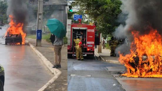 Reprodução