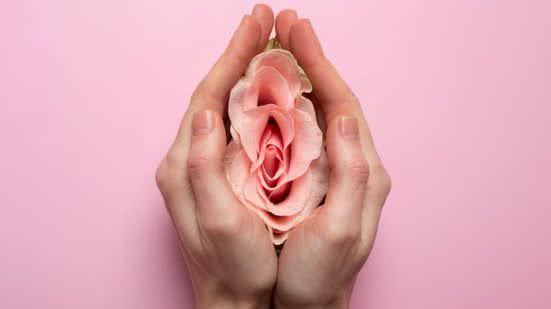 Divulgação / Freepik
