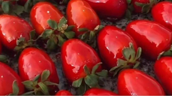 Reprodução/ Redes Sociais