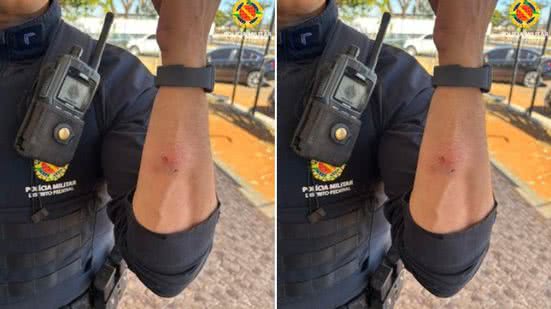 Divulgação  | PMDF