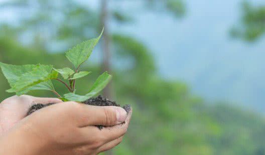 Divulgação / Freepik