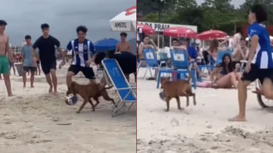 Reprodução / Vídeo-myhood