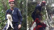 Divulgação / Corpo de Bombeiros