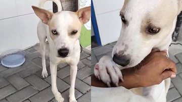 Reprodução/Redes Sociais