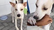 Reprodução/Redes Sociais