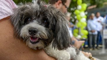 Alex Pazuello / Semcom