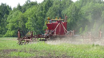 Divulgação / Липцо Козерога - Pixabay