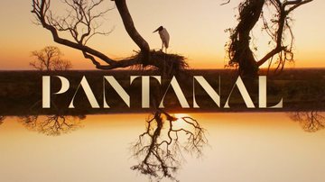 Reprodução/ TV Globo