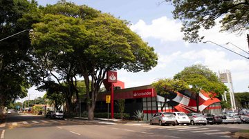 Divulgação / Dele Oke - Pixabay