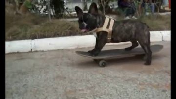 Reprodução/Youtube