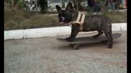 Reprodução/Youtube