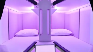 Divulgação / Air New Zealand