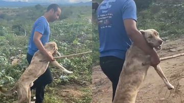 Reprodução/TikTok @marleyjunior3851