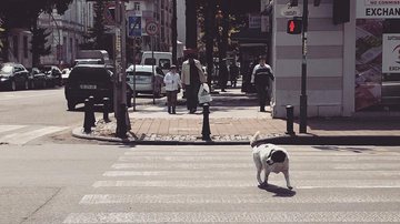 Reprodução/Instagram @lovelykupata