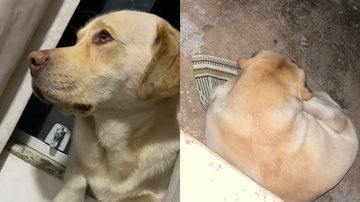 Reprodução/TikTok @duda_sm_