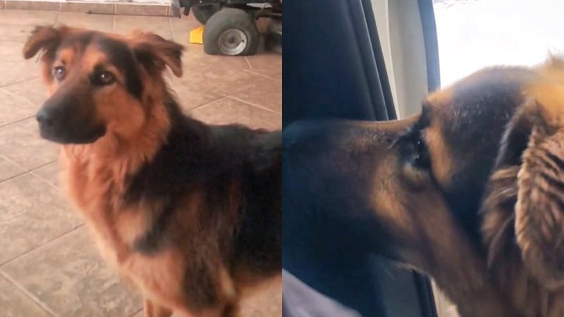 Reprodução/TikTok