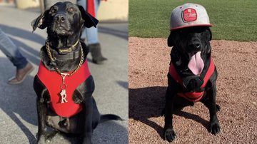 Arquivo Pessoal/Melissa O'Donnell