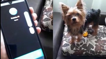 Reprodução/TikTok @gabriellerodrrigues