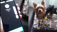 Reprodução/TikTok @gabriellerodrrigues