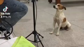 Reprodução / Instagram