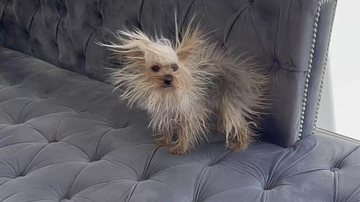 Arquivo Pessoal/Rosario Carviz