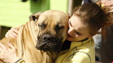 Foto Ilustrativa/Pixabay