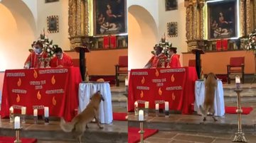 Reprodução/Facebook/Fabio Motos