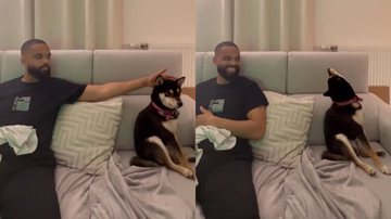 Reprodução/TikTok @michkaboy