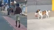 Reprodução/TikTok @atletajoaoluis