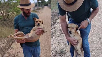 Reprodução/TikTok @maiconsouzad