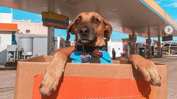 Instagram / @matueofrentista