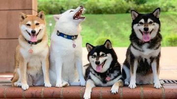 Reprodução / Redes Sociais